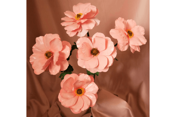 Butterfly Ranunculus Ariadne Review