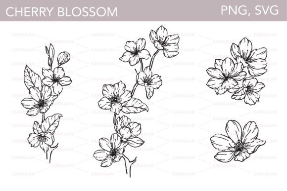 Cherry Blossom SVG Clipart for Modern Web Design