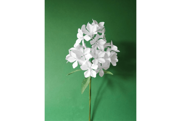Garden Phlox Embroidery Review