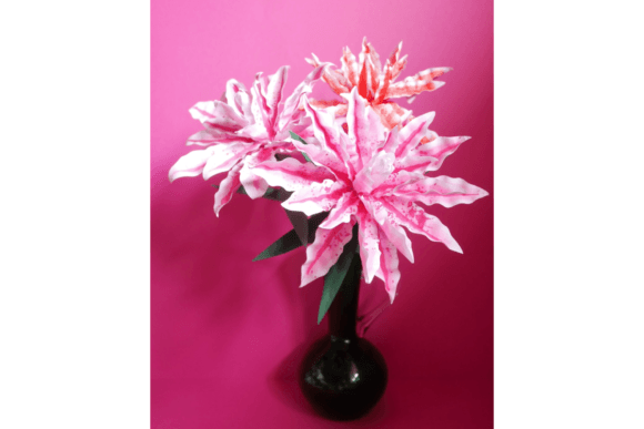 Magic Star Double Oriental Lily Review