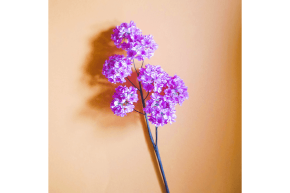 Prunus Sakura 3D SVG Paper Flowers Review